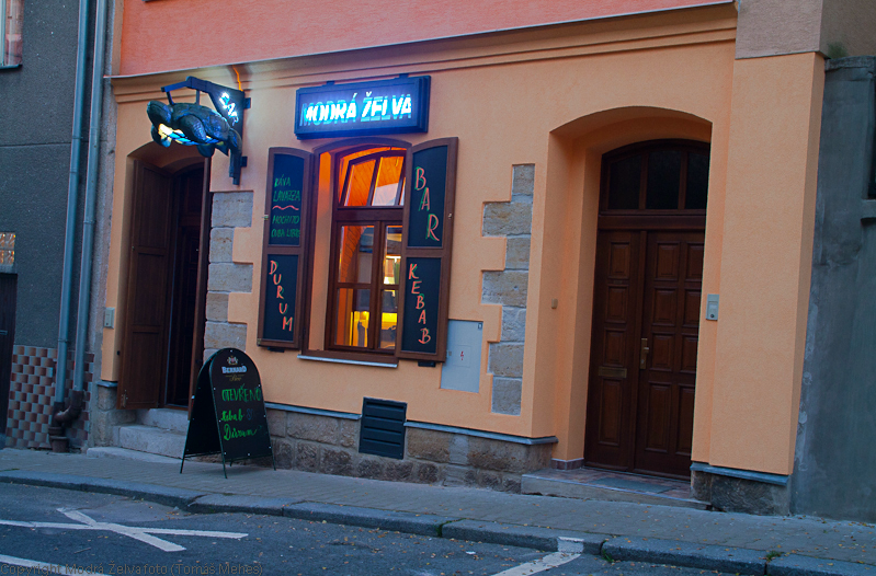 bar-modra-zelva